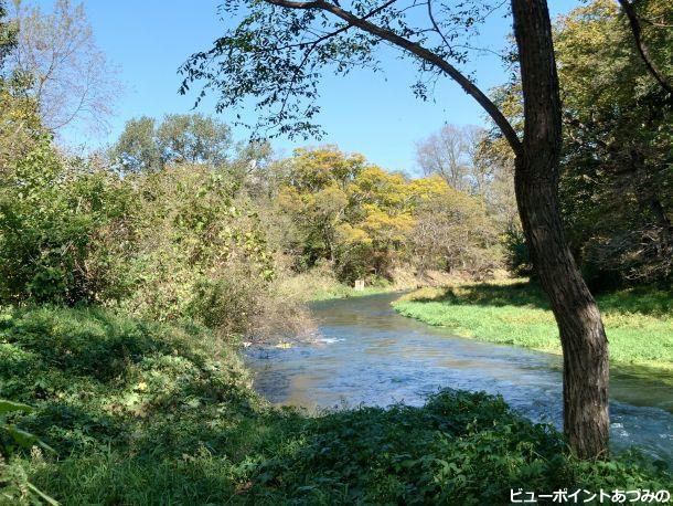 黄葉した万水川