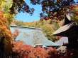 秋色の霊松寺本堂
