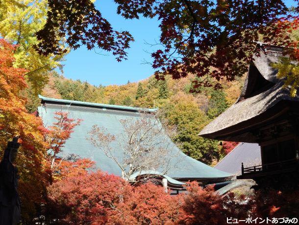 秋色の霊松寺本堂