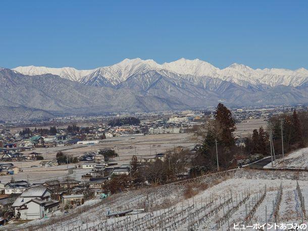 葡萄畑と後立山連峰