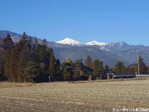 屋敷林と常念岳