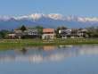 住宅地と後立山連峰