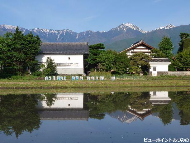 水鏡の屋敷林