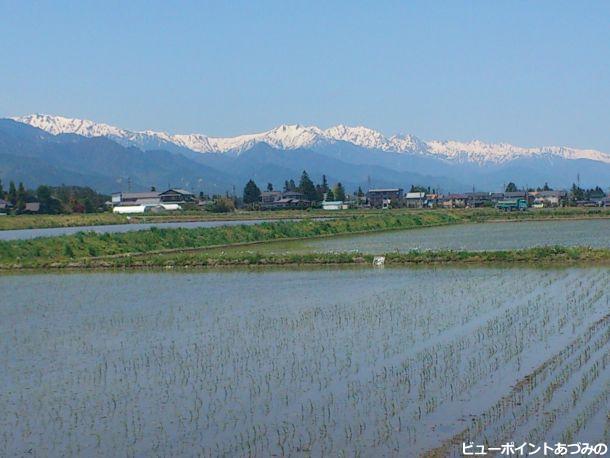 田園と鹿島槍ヶ岳