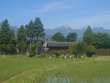 常念岳と屋敷林