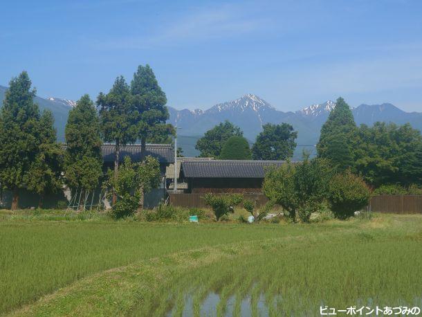 常念岳と屋敷林