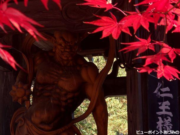 すだれ紅葉と仁王像