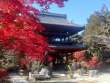 法蔵寺の紅葉