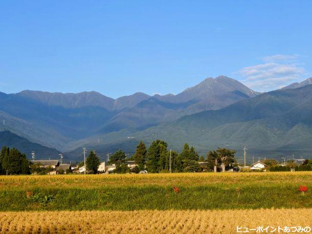 黄金色の田園と常念岳