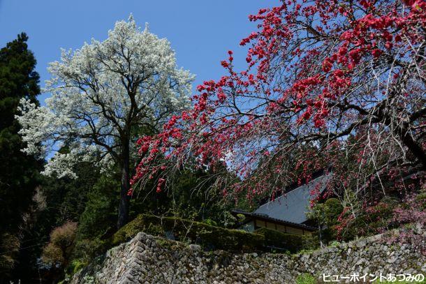 花の満願寺