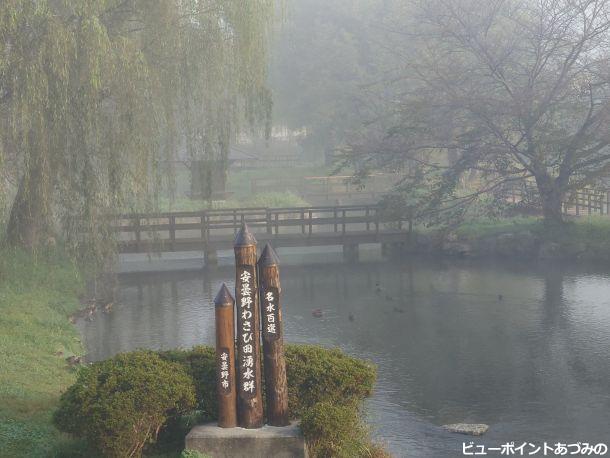 朝霧の憩いの池