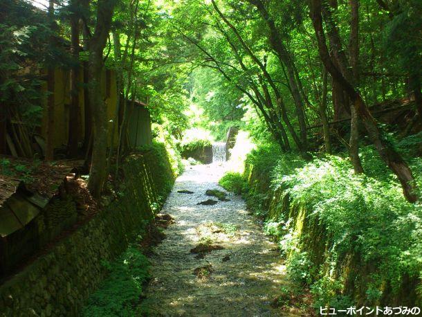 鳴沢川の石積護岸