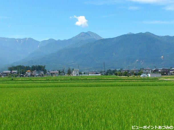 夏の田園風景～常念岳