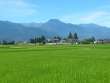 夏の田園風景～有明山