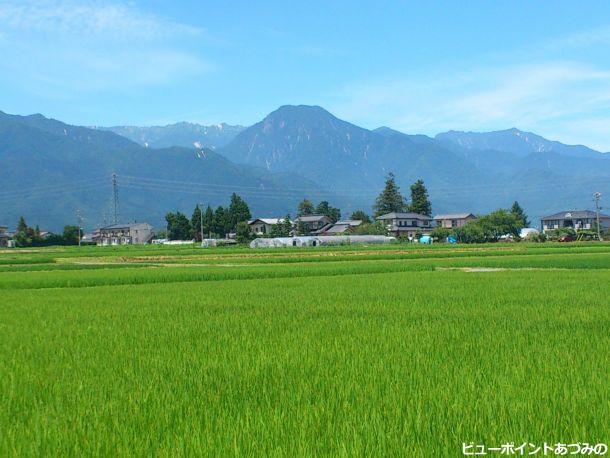 夏の田園風景～有明山