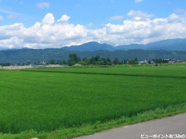 田園風景と白い雲