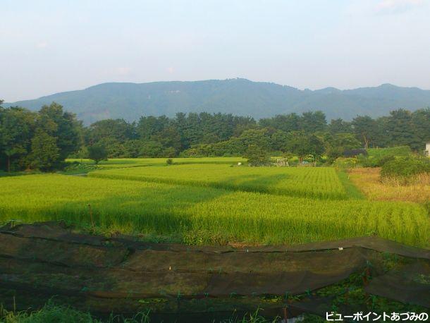 穂高白金の田園風景