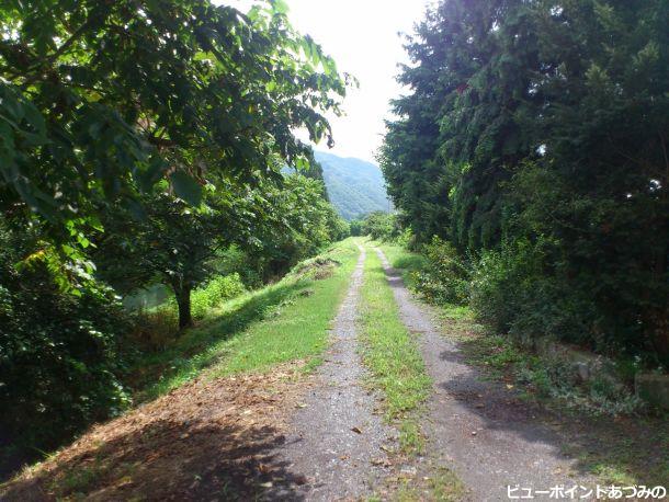 犀川土手の小路