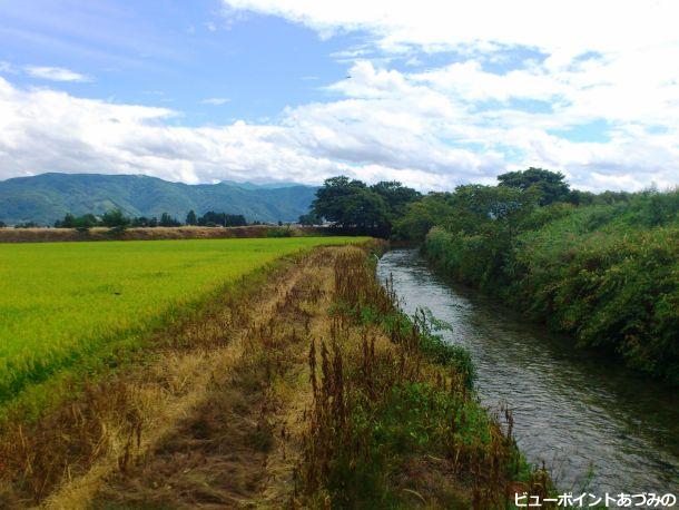 初秋の田園風景