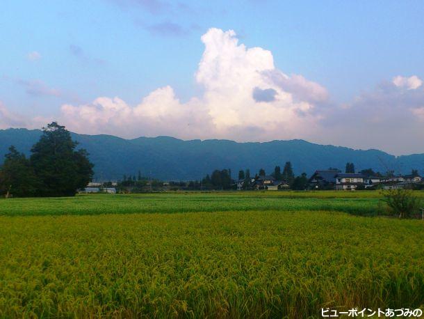 収穫の秋と夏空