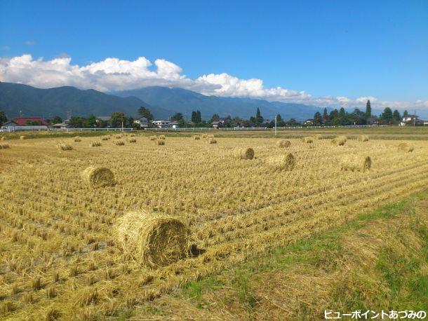 秋らしい田園風景