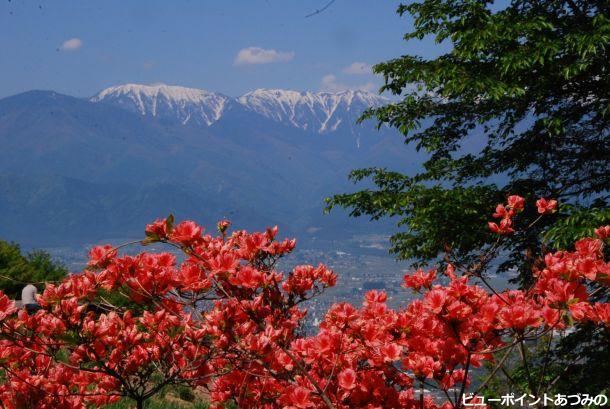 春蘭漫の長峰山