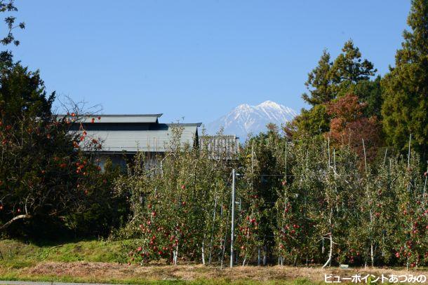 相馬家のりんご園