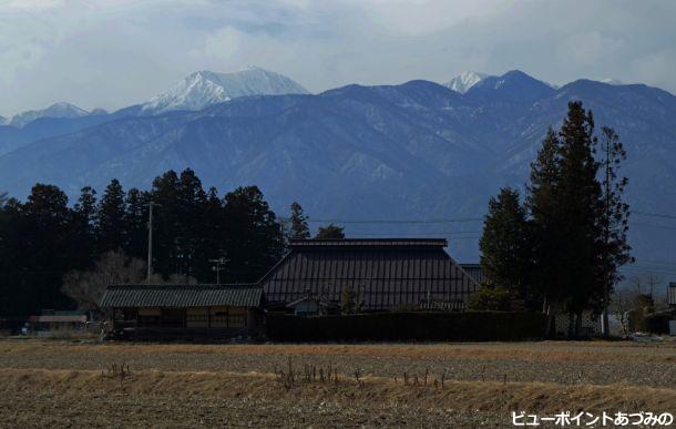 狐島の屋敷林