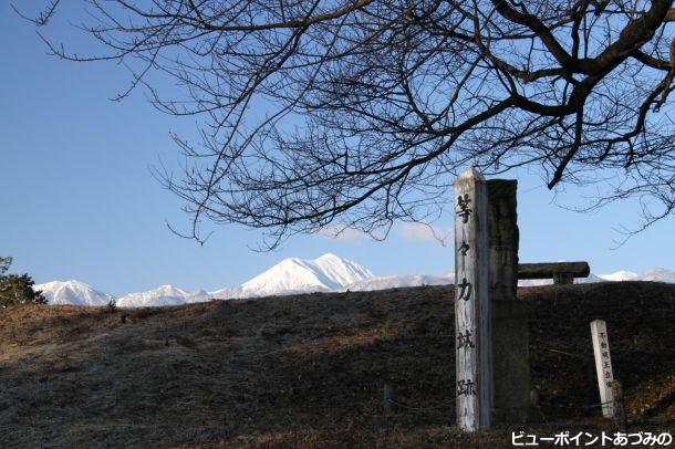 等々力城址