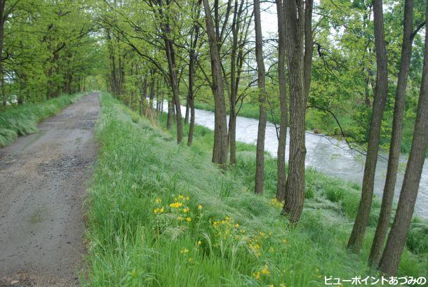 万水川河畔