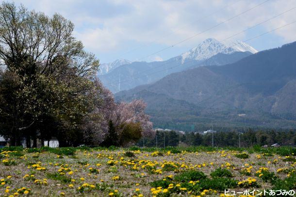 春の野山