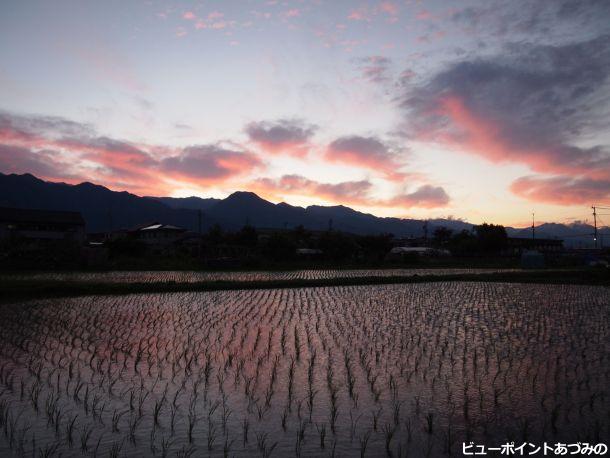 夕方の影（シルエット）