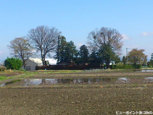 三郷中萱の屋敷林