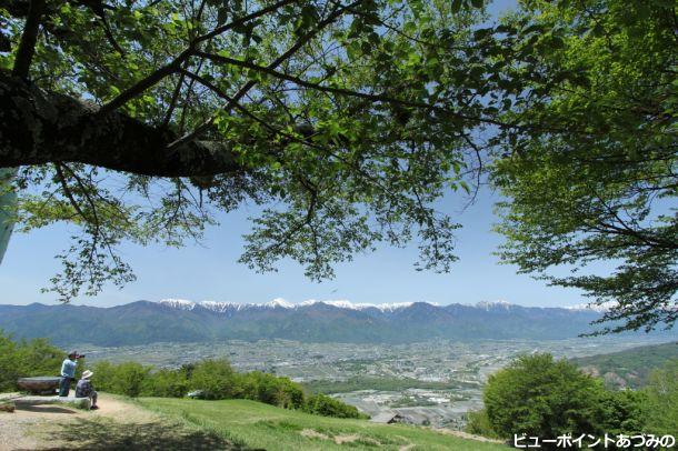 新緑の長峰山