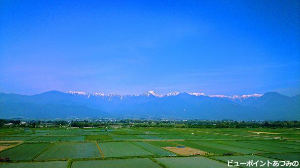 お山と田んぼ