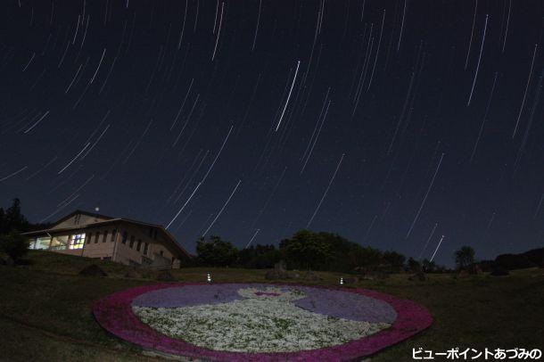 芝桜と星空