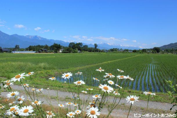 6月の安曇野