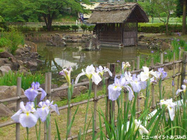 花咲く龍門渕公園