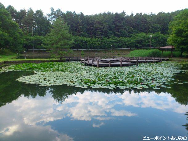 初夏の室山池