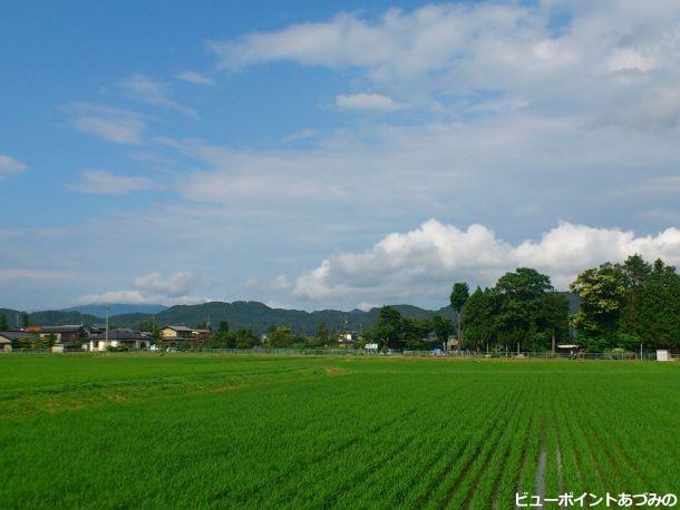 初夏の田園風景