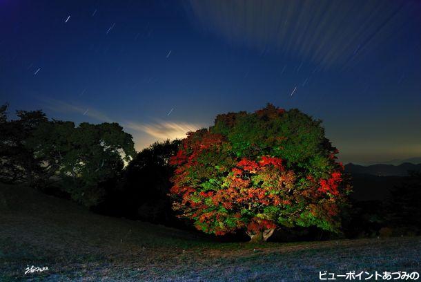 星降る空の七色大楓