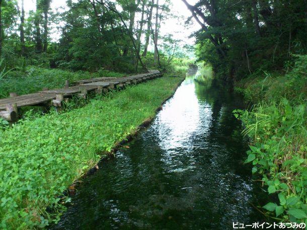 湧水のオアシス