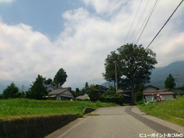 草深の大ケヤキ